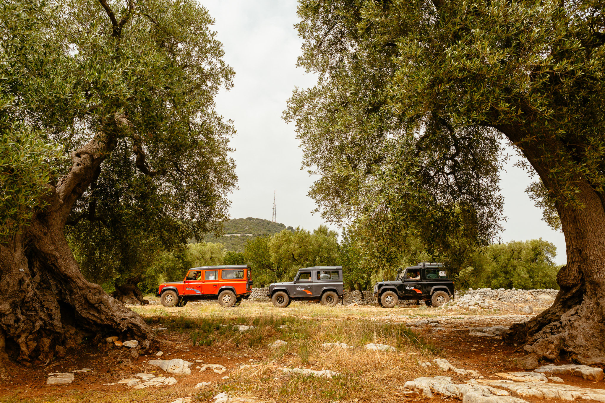 Dirigo Viaggi Avventura Offroad Defender nella Via degli Ulivi Millenari, Monopoli