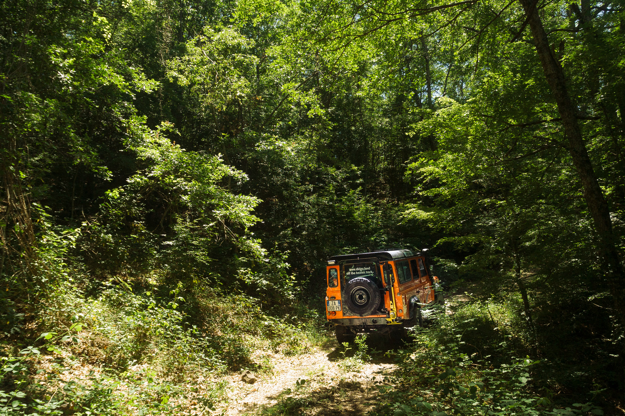 Dirigo Defender 110 entering the woods