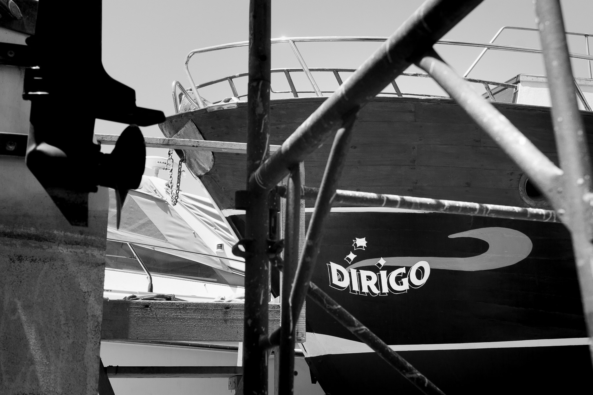 Dirigo Horizon hand painted logo on boats